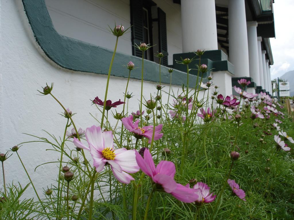 De Doornkraal Vinotel Riversdale Exterior foto