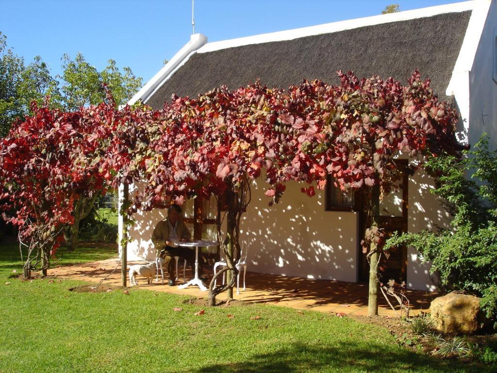 De Doornkraal Vinotel Riversdale Cameră foto